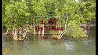 心太软 (Xin Tai Ruan) Female Version - Karaoke mandarin with drone view