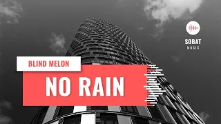 BLIND MELON - NO RAIN ( VLOG REMIX)