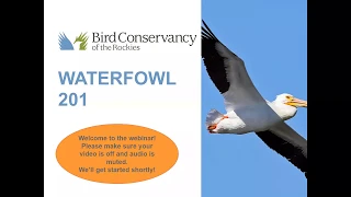 Waterfowl 201 Webinar