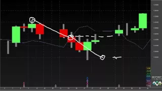 Hurst Cycles Trading Academy Category D trades