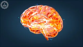 Oxygenate The Brain | Improve Blood Circulation to The Brain | Brain Health Meditation Music | 528Hz