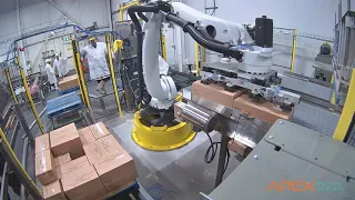 Apex Motion Robotic Industrial Palletizing