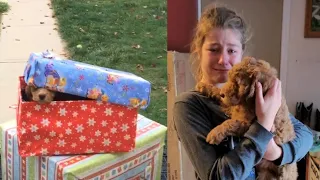 Christmas Puppy Surprise 2021 - Kids getting Puppy as a Christmas Present