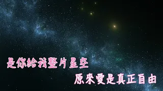 是你給我整片星空