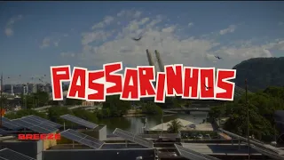 Brocasito "Passarinhos" (Official Music Video)