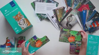 Умница. Мир на ладошке. Тигр. Развивающие карточки про окружающий мир для малышей от 0 до 5 лет