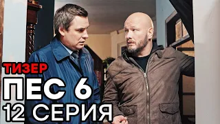 Сериал ПЕС 6 - 6 сезон - 12 серия - ТИЗЕР | СЕРИАЛЫ ICTV