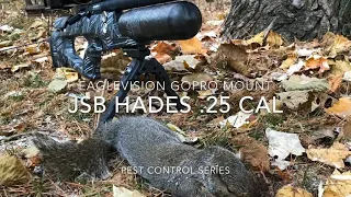 JSB Hades .25 and the Eaglevision GoPro Scopecam Mount