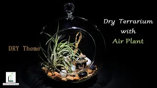 Dry Terrarium With  Airplant #plantedcreek #terrarium