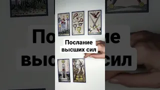 ПОСЛАНИЕ ВЫСШИХ СИЛ 🔮 #shorts что надо знать сейчас расклад таро #гаданиенакартахтаро