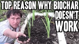 Top Reason Why Biochar Doesn't Increase Crop Yields & 5 Ways to Fix it