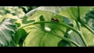 Minuscule, la vallée des fourmis perdues (Bande Annonce 2014)