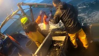 (2024) Commercial Crab Fishing, Master Baiter POV, FAST Crew!