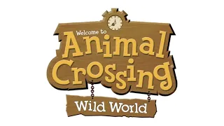 11 PM (Rain) - Animal Crossing: Wild World Soundtrack