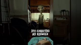 Чебурашка существует 😨