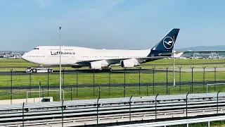 D-ABVY Lufthansa 747 - Frankfurt