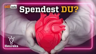 Organspende ❤️ Darum ist das deutsche System schlecht | Heureka