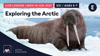 Exploring the Arctic | AXA Arctic Live 2021 | KS1 / Ages 5-7
