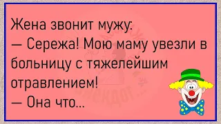 🤡Заболела Стюардесса...Большой Сборник Улётных Анекдотов,Для Супер Настроения!