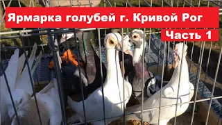 Ярмарка голубей г. Кривой Рог 9.03.2024. Ч.1