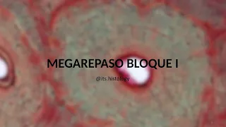 MEGAREPASO Bloque I 2022 - its.histology