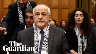 Palestine's UN ambassador holds back tears during appeal to world court
