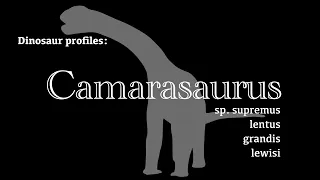 Dinosaur Profile: Camarasaurus