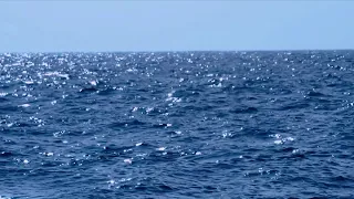 [10 Hours] Wide Open Ocean - Video & Audio [1080HD]