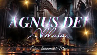 FUNDO MUSICAL PARA ORAÇÃO - AGNUS DEI - MUSICAL BACKGROUND FOR PRAYER // FONDO PARA LA ORACIÓN