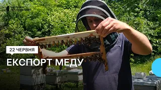 Попри війну Хмельниччина продовжує експортувати мед