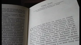 С любимыми книгами: "Дон Кихот"   44