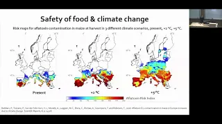 Global Leadership Series: Promoting Healthy Diets for Children and Adolescents in LMIC Countries