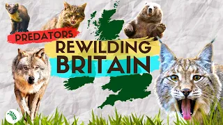 BEST Predators To REWILD BRITAIN