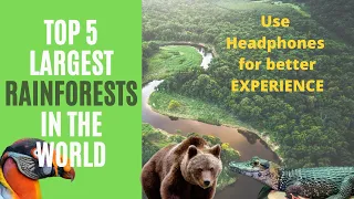 LARGEST RAINFORESTS IN THE WORLD | Explore Amazing & Greatest Rainforests of Our Planet