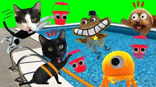 Encuentro nuevos personajes de Garten of banban 4 en la piscina / Videos de gatos Luna y estrella