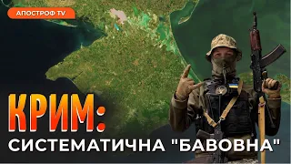 ПАЛКА зустріч у КРИМУ: жителів півострова чекає незабутній сезон // Чистіков