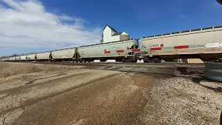 UP 5819 grain train