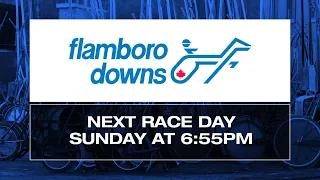 Flamboro Downs Live Stream 02/24/2024