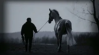 Выйду ночью в поле с конём