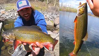 Jigging for FAT Brook Trout at Mountain Lakes!!