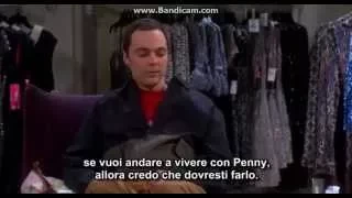 Sheldon e Leonard scendono a copromessi sub ita