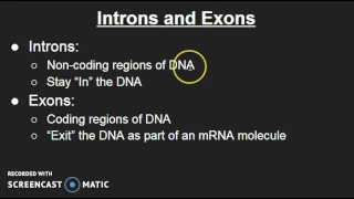 Introns and Exons