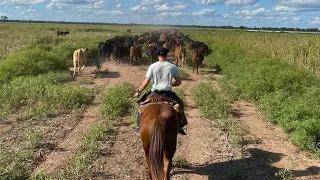 HOMBRE Vive AISLADO en el MEDIO del CAMPO en una casa de MAS de 100 AÑOS/Lejos y en completa paz