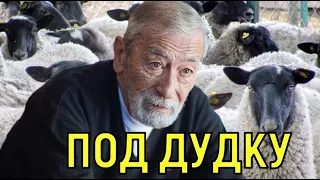 Плюнувшего в лицо Кикабидзе растоптали за слова о России