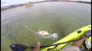 First sight fish 2024 - Bass Fishing Sand Hollow Utah.