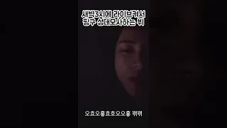 새벽 3시에 라이브에서 핑구 따라하는 뷔