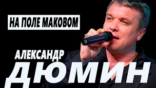 Александр Дюмин - На поле маковом