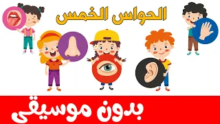 أنشودة الحواس الخمس بدون موسيقى -  أنا إنسان لي إحساس