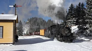 Cumbres & Toltec - The Toltec Rattler - 50th Anniversary Freights