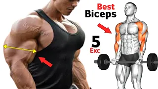 5 Best Biceps Exercises At Gym For Bigger Arms Maximus